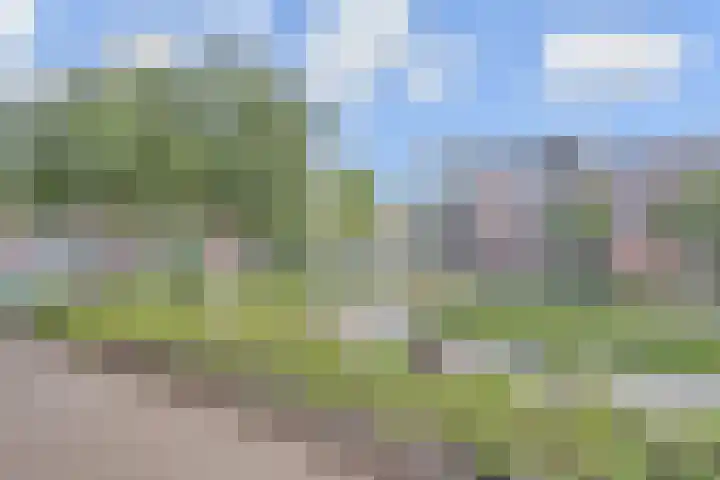 Vreeburghlaan 5 ap6 's-Gravenzande thumbnail 20
