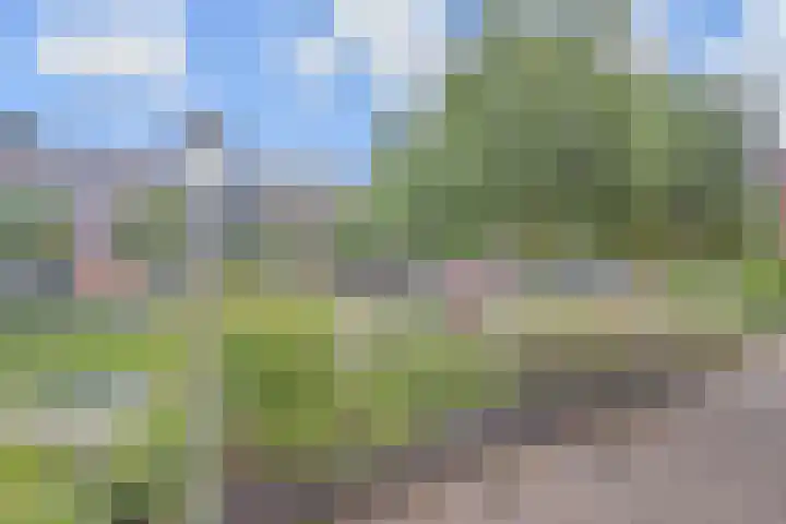 Vreeburghlaan 5 ap6 's-Gravenzande thumbnail 21