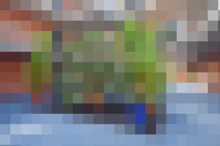 Vreeburghlaan 5 ap6 's-Gravenzande thumbnail 8