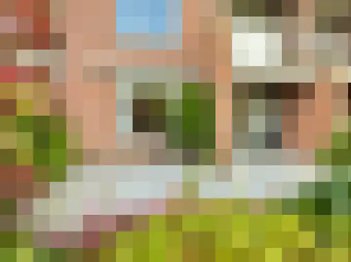 Vreedenburgh 1 Laren thumbnail 12