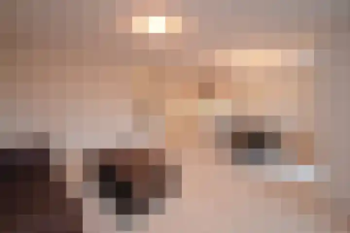 Vreedenburgh 1 Laren thumbnail 6