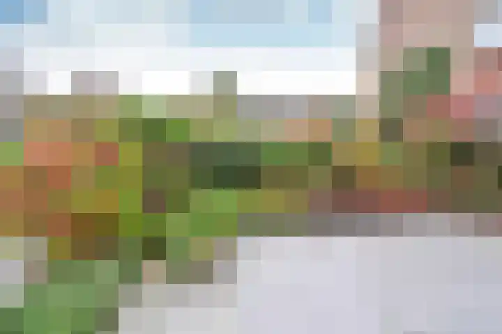 Vreedenburgh 1 Laren thumbnail 8