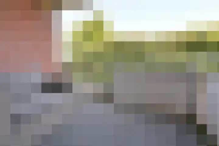 Vreedenburgh 10 Laren thumbnail 12