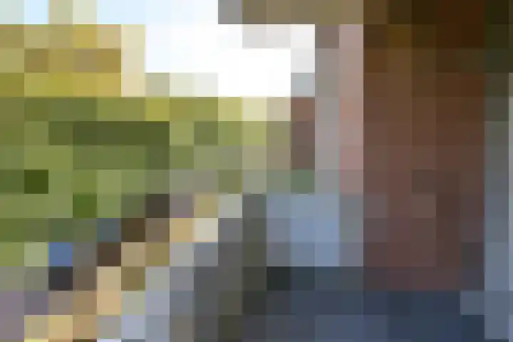 Vreedenburgh 10 Laren thumbnail 13