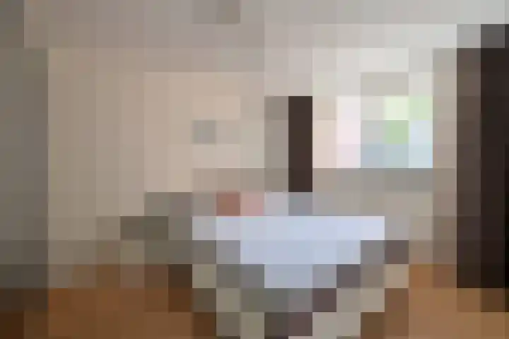 Vreedenburgh 10 Laren thumbnail 8