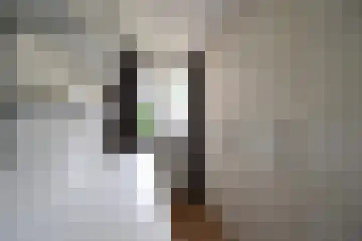 Vreedenburgh 10 Laren thumbnail 9