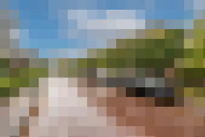 Vreedenburgh 12 Laren thumbnail 10
