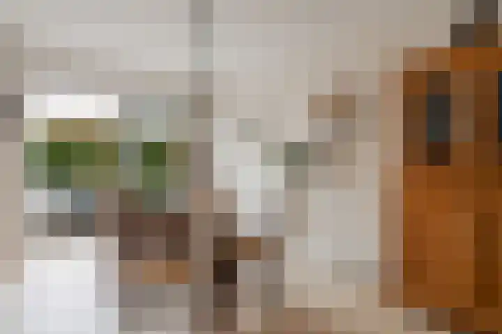 Vreedenburgh 12 Laren thumbnail 13