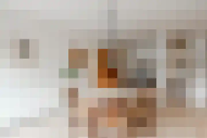 Vreedenburgh 12 Laren thumbnail 14