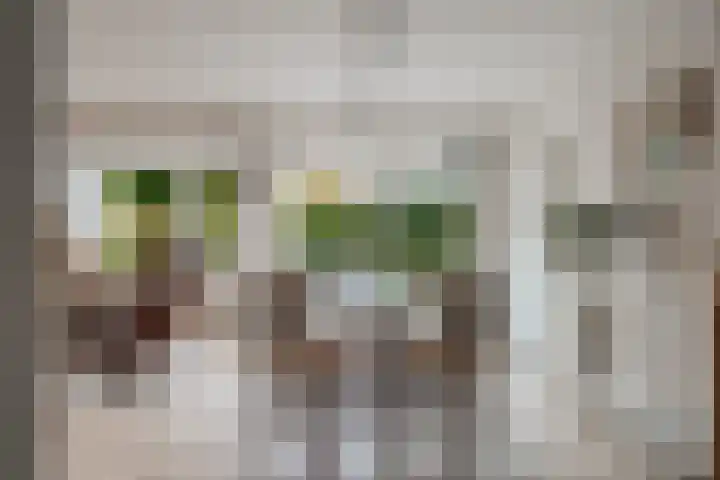 Vreedenburgh 12 Laren thumbnail 16