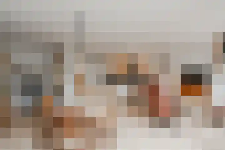 Vreedenburgh 12 Laren thumbnail 17
