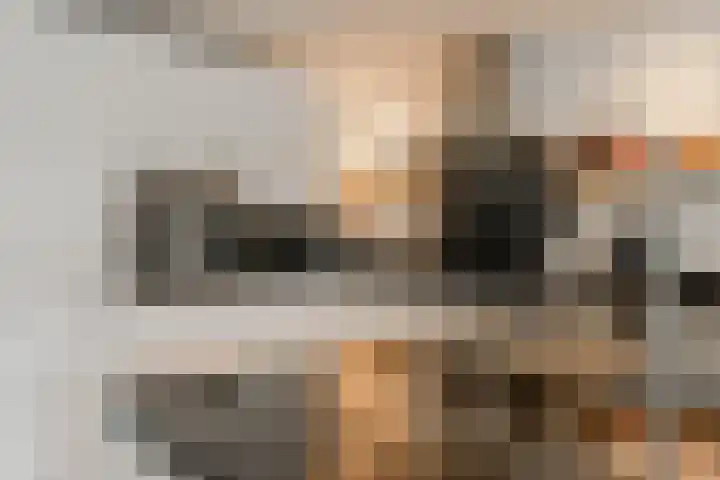 Vreedenburgh 12 Laren thumbnail 19