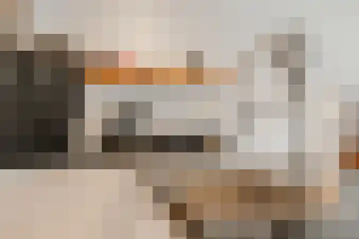 Vreedenburgh 12 Laren thumbnail 20