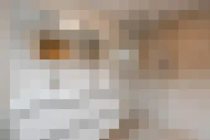 Vreedenburgh 12 Laren thumbnail 5