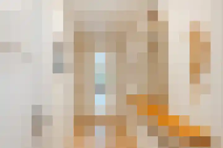Vreedenburgh 12 Laren thumbnail 7