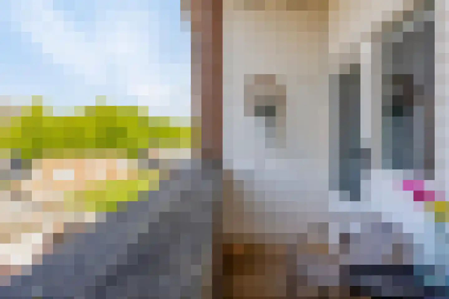 Vreedenburgh 17 Laren thumbnail 47