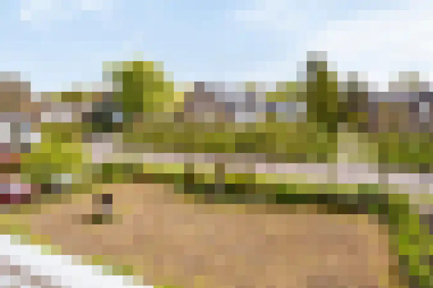 Vreedenburgh 17 Laren thumbnail 51