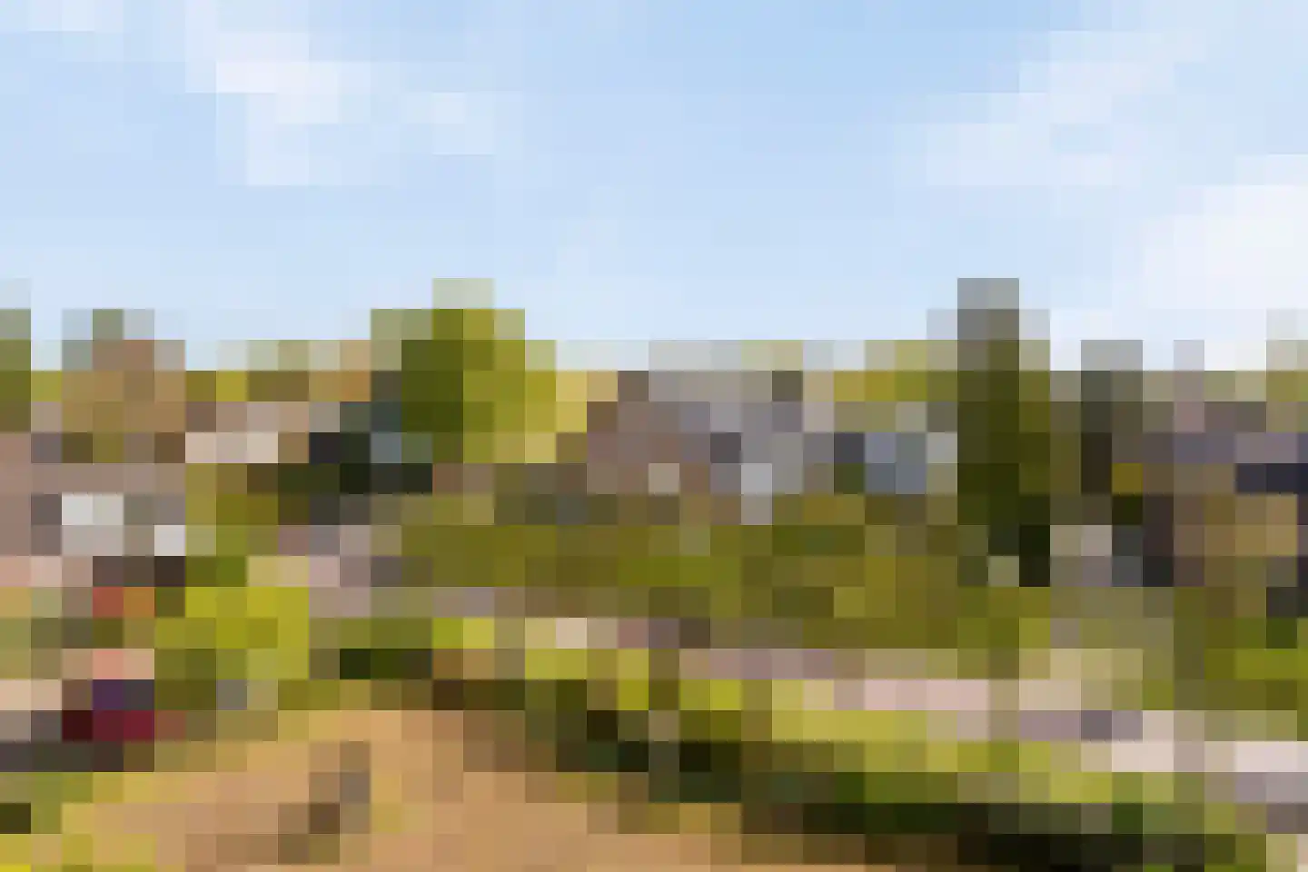 Vreedenburgh 17 Laren thumbnail 52