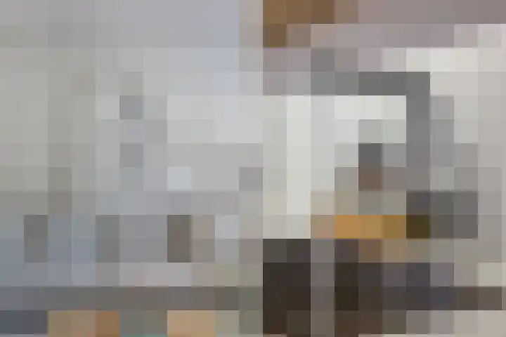 Vreedenburgh 20 Laren thumbnail 13