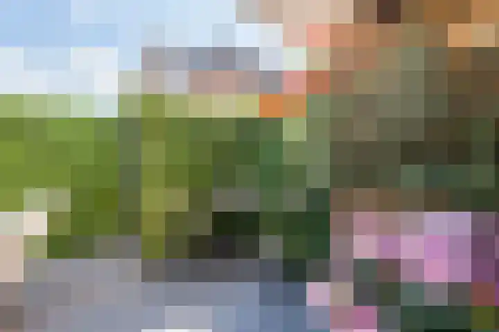 Vreedenburgh 20 Laren thumbnail 26