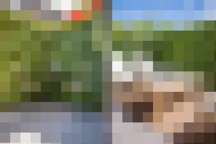 Vreedenburgh 20 Laren thumbnail 30