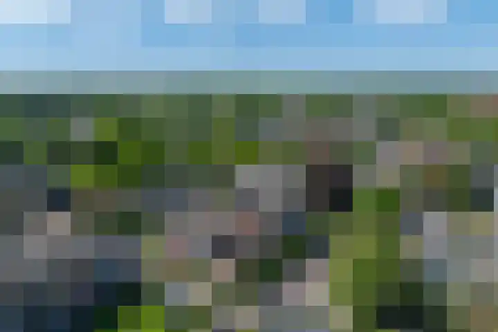 Vreedenburgh 20 Laren thumbnail 33