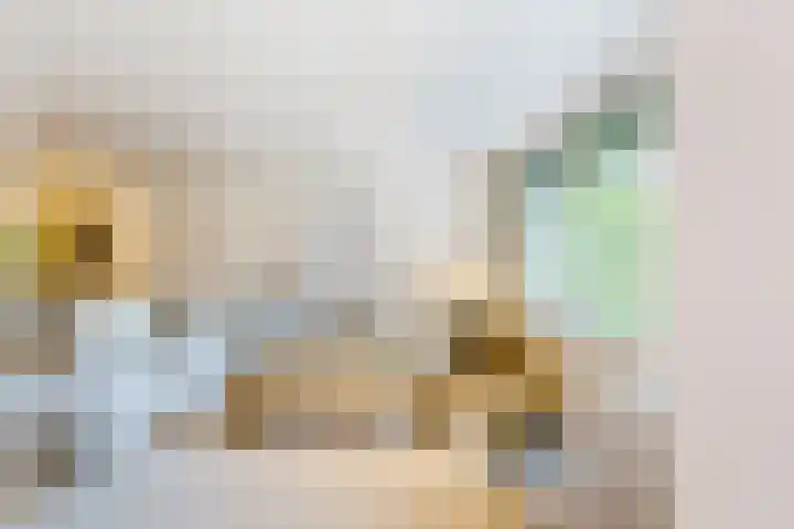 Vreedenburgh 20 Laren thumbnail 4