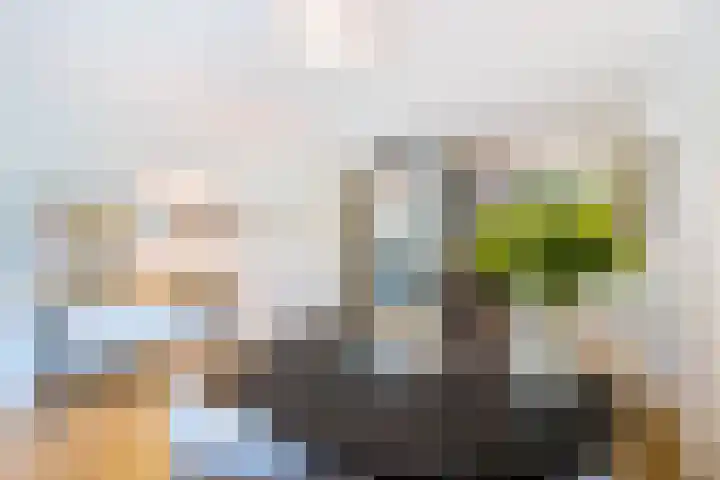 Vreedenburgh 20 Laren thumbnail 8