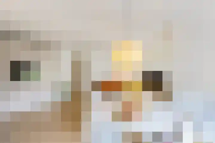 Vreedenburgh 33 Laren thumbnail 4