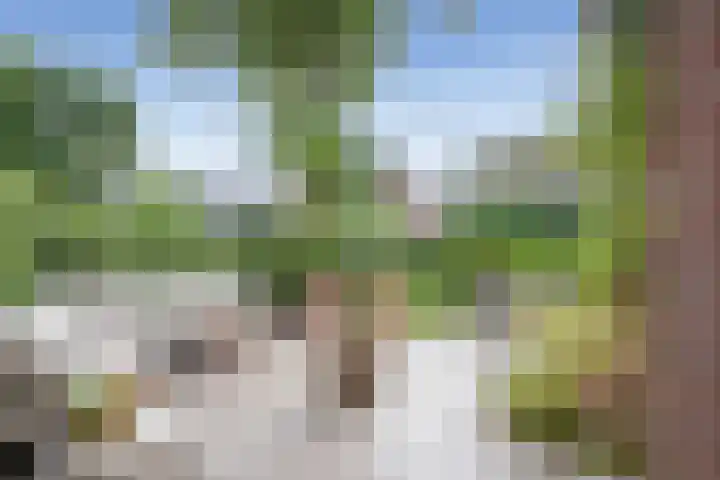 Vreedenburgh 33 Laren thumbnail 7