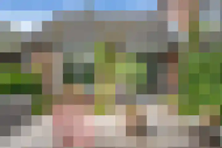 Vreedenburgh 33 Laren thumbnail 9