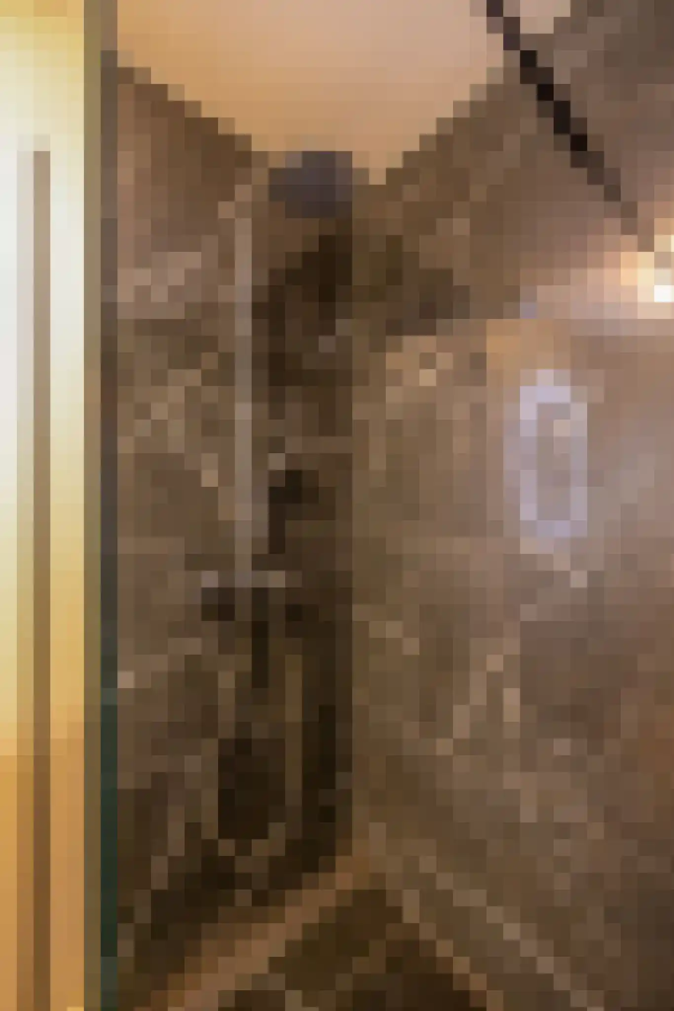 Vreedenburgh 4 Laren thumbnail 18