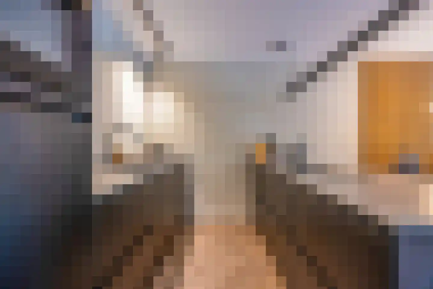 Vreedenburgh 4 Laren thumbnail 33