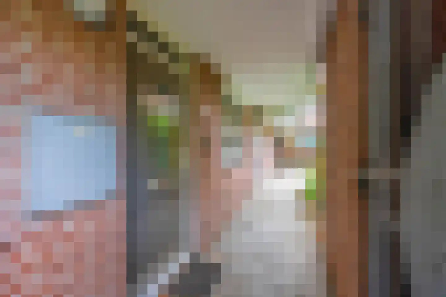 Vreedenburgh 4 Laren thumbnail 4