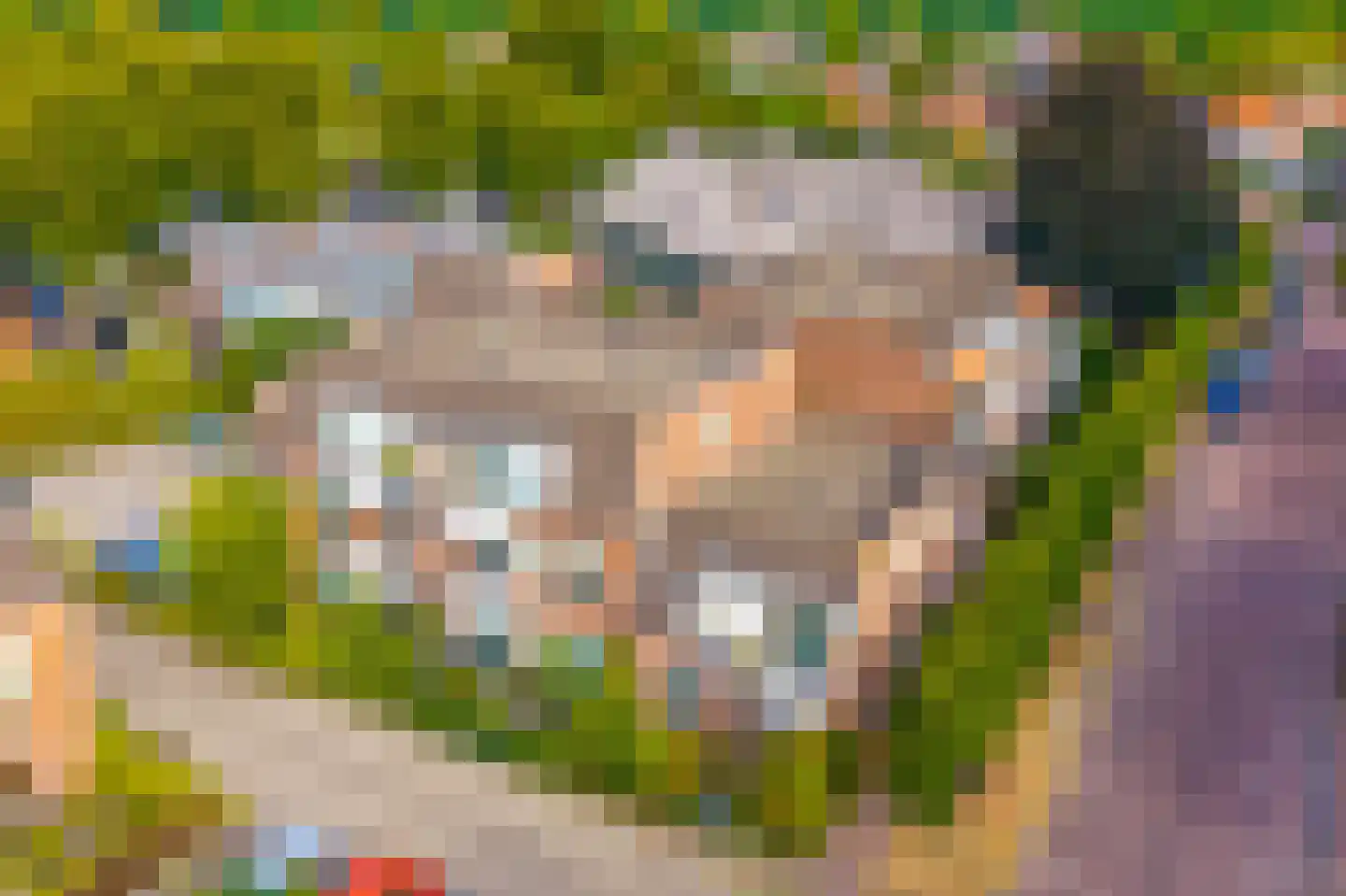 Vreedenburgh 4 Laren thumbnail 40