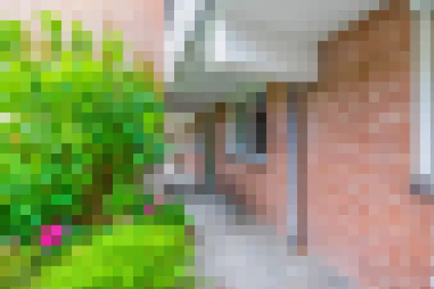 Vreedenburgh 4 Laren thumbnail 5