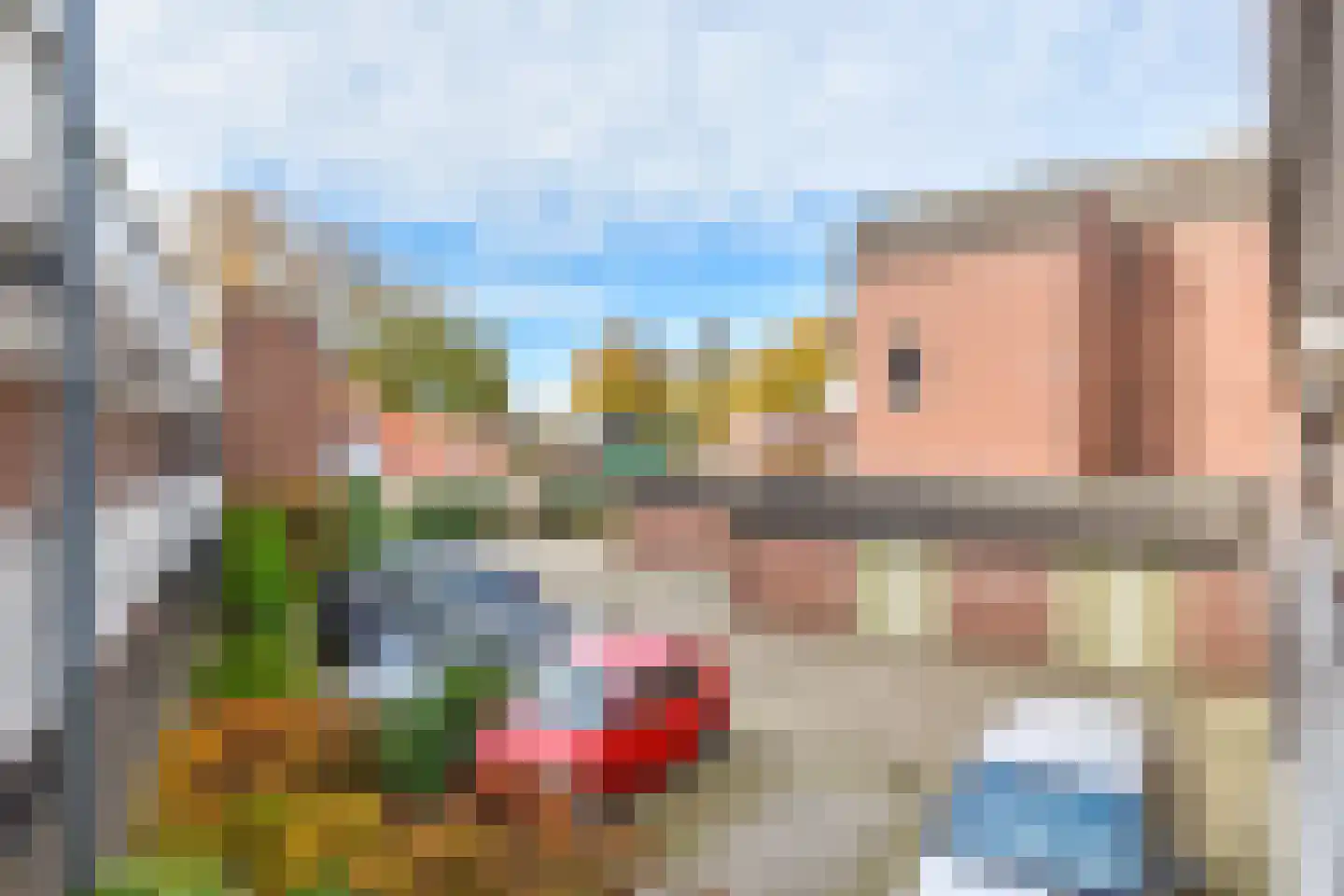 Vreedenburgh 61 Laren thumbnail 20
