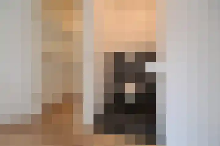 Vreedenburgh 65 Laren thumbnail 11