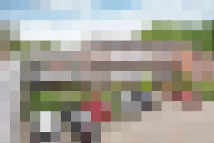 Vreedenburgh 65 Laren thumbnail 12