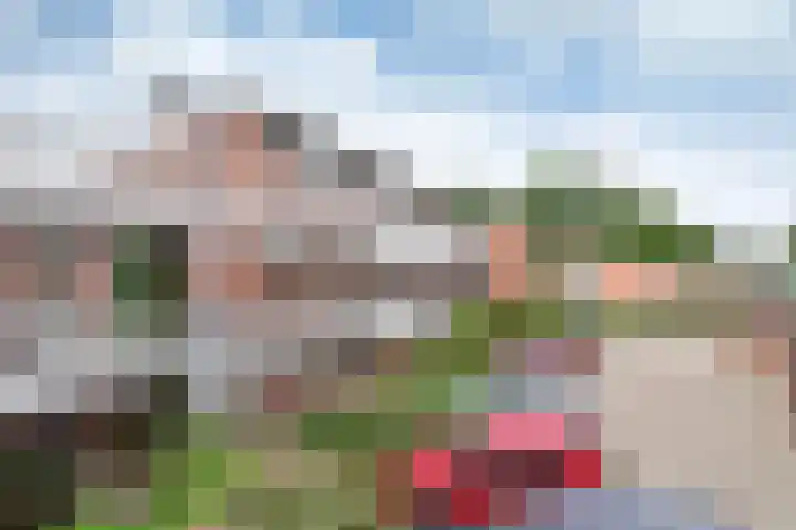 Vreedenburgh 65 Laren thumbnail 13