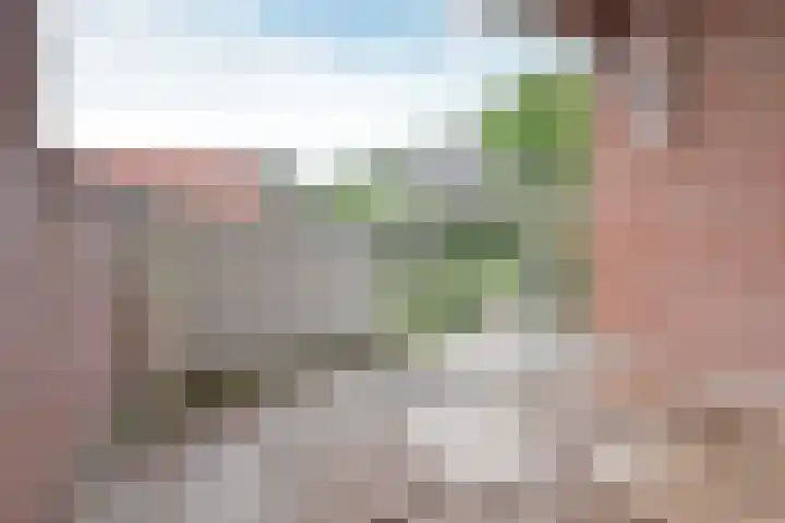 Vreedenburgh 65 Laren thumbnail 6