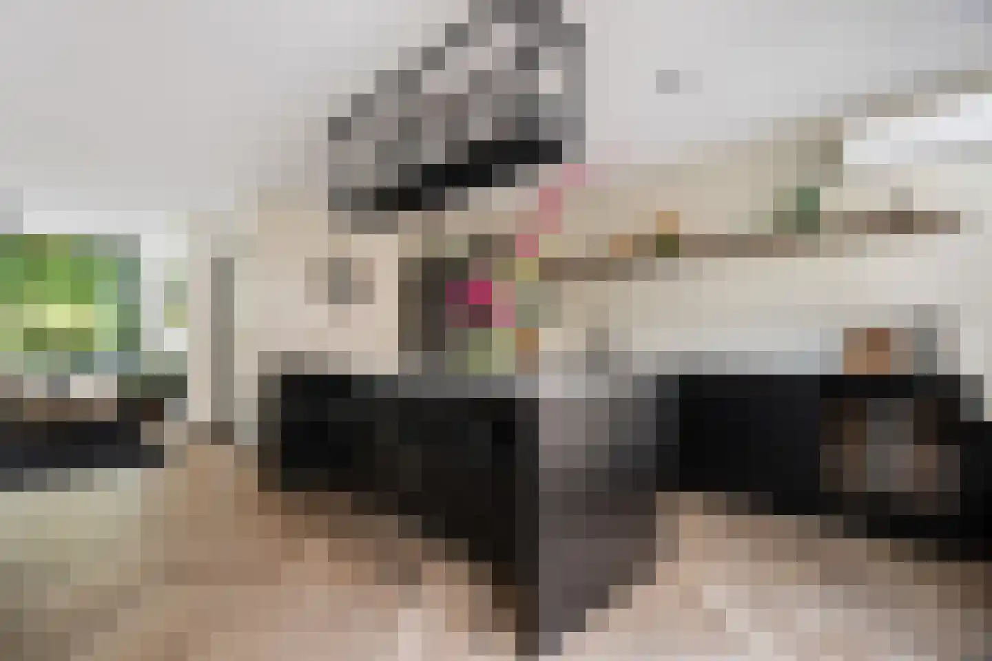 Vreedenburghstraat 23 Woerden thumbnail 10