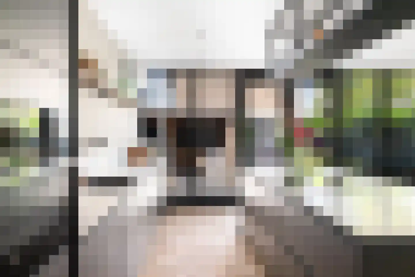 Vreedenburghstraat 23 Woerden thumbnail 12