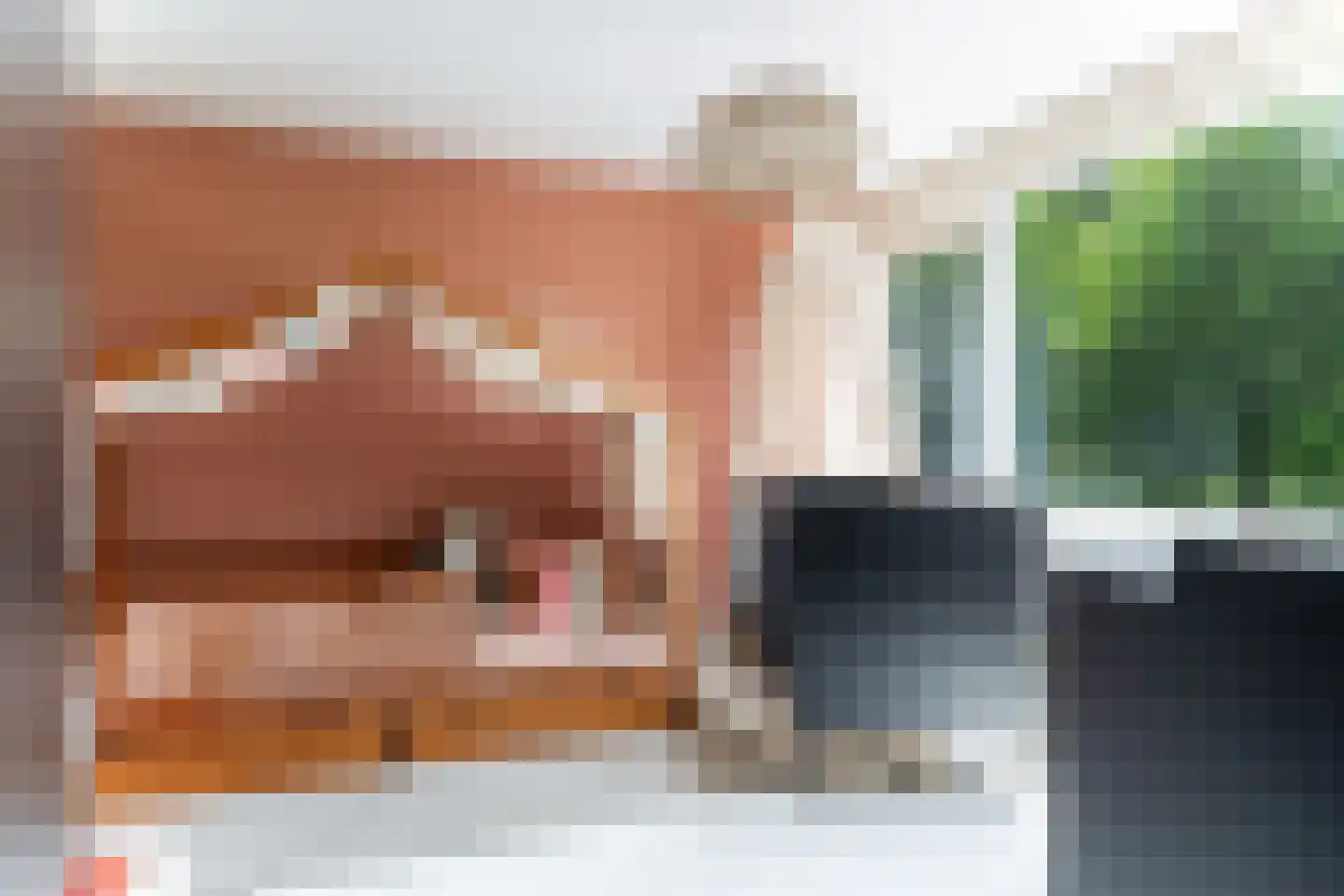 Vreedenburghstraat 23 Woerden thumbnail 18