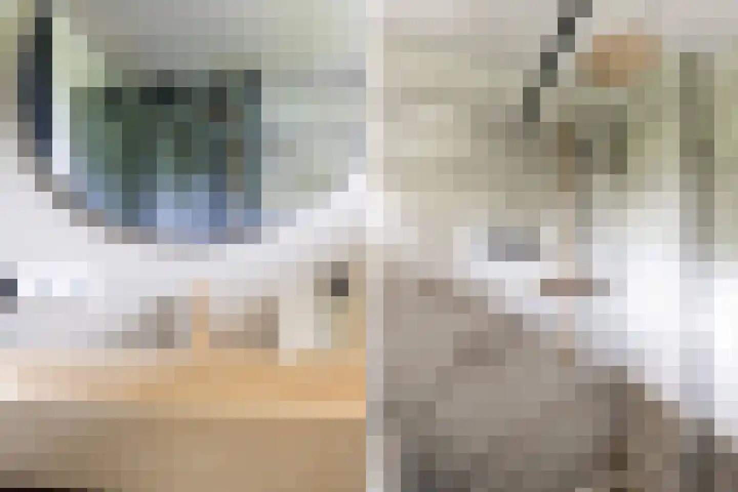Vreedenburghstraat 23 Woerden thumbnail 23