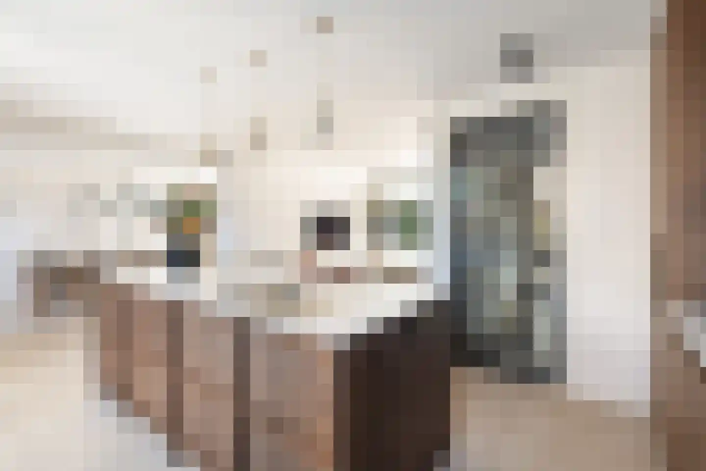 Vreedenburghstraat 35 Woerden thumbnail 11