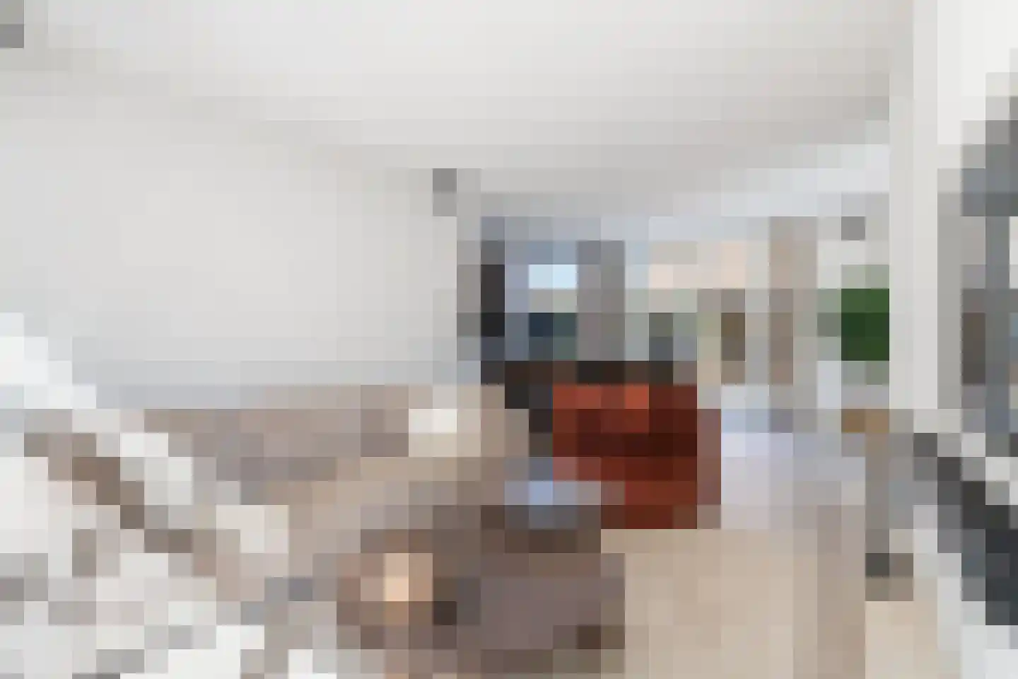 Vreedenburghstraat 35 Woerden thumbnail 13