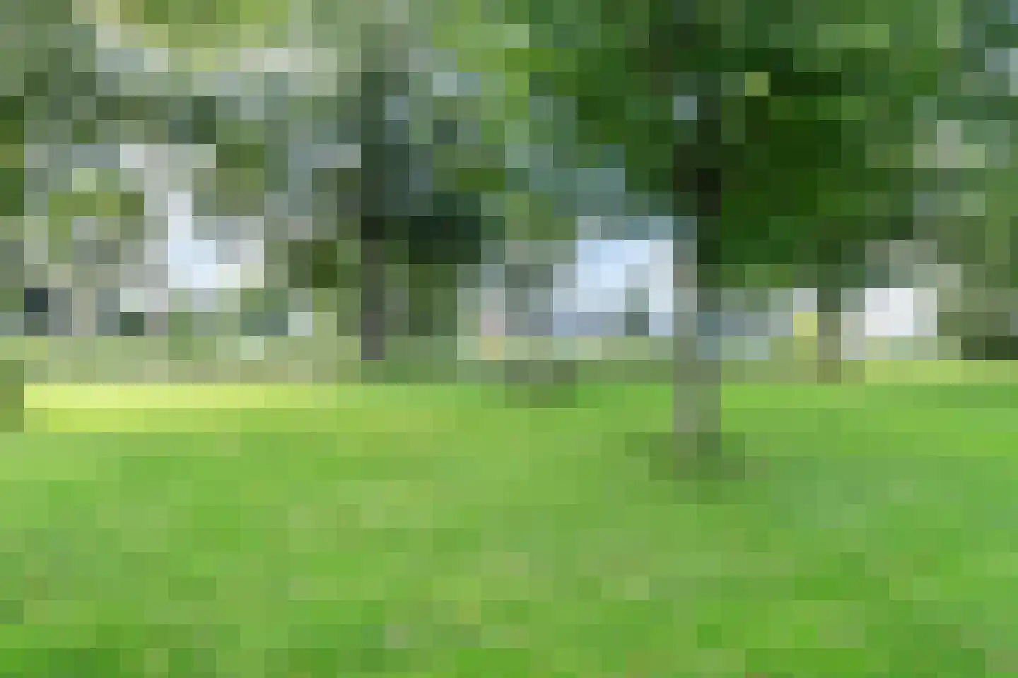 Vreedenburghstraat 35 Woerden thumbnail 38