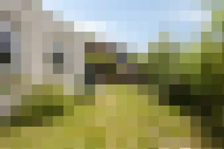 Vreedstraat 9 Bruchem thumbnail 10