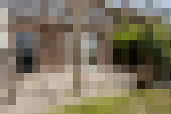 Vreedstraat 9 Bruchem thumbnail 11